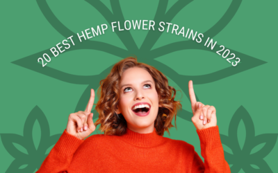 20 Best Hemp Flower Strains in 2023