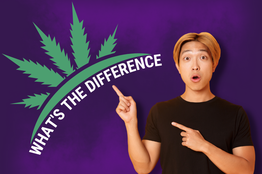 What Is The Difference Between Hemp And Marijuana